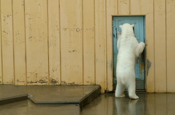 釧路市動物園