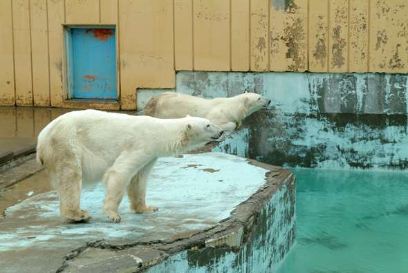 釧路市動物園