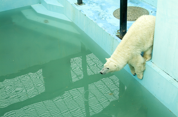 おびひろ動物園