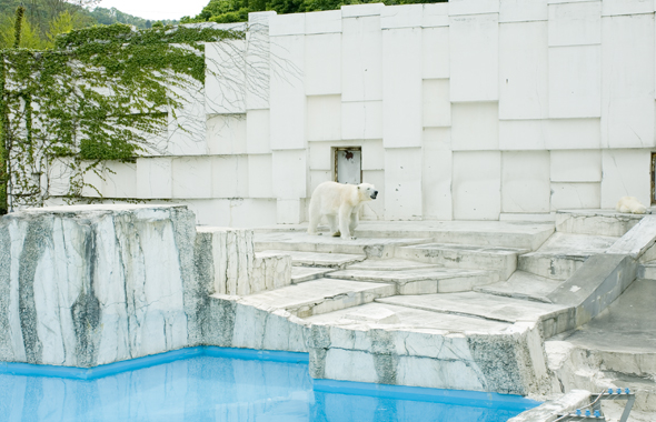 円山動物園