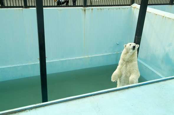 おびひろ動物園