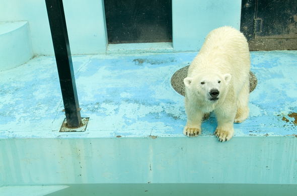 おびひろ動物園