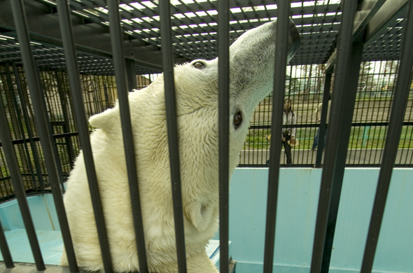 おびひろ動物園