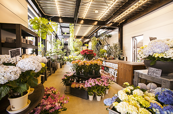 フラワーショップ Flower Space Gravel 本店 札幌市 Web Magazine Pilot