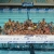 イベント【北島康介選手による水泳教室「アクエリアス 未来への夢はじめよう。」プロジェクト】